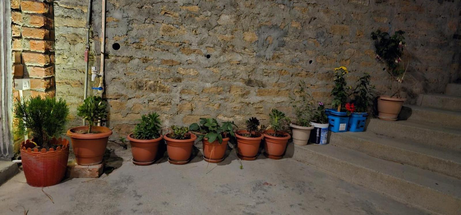 Golden Himalaya Homestay Kausani Exterior foto